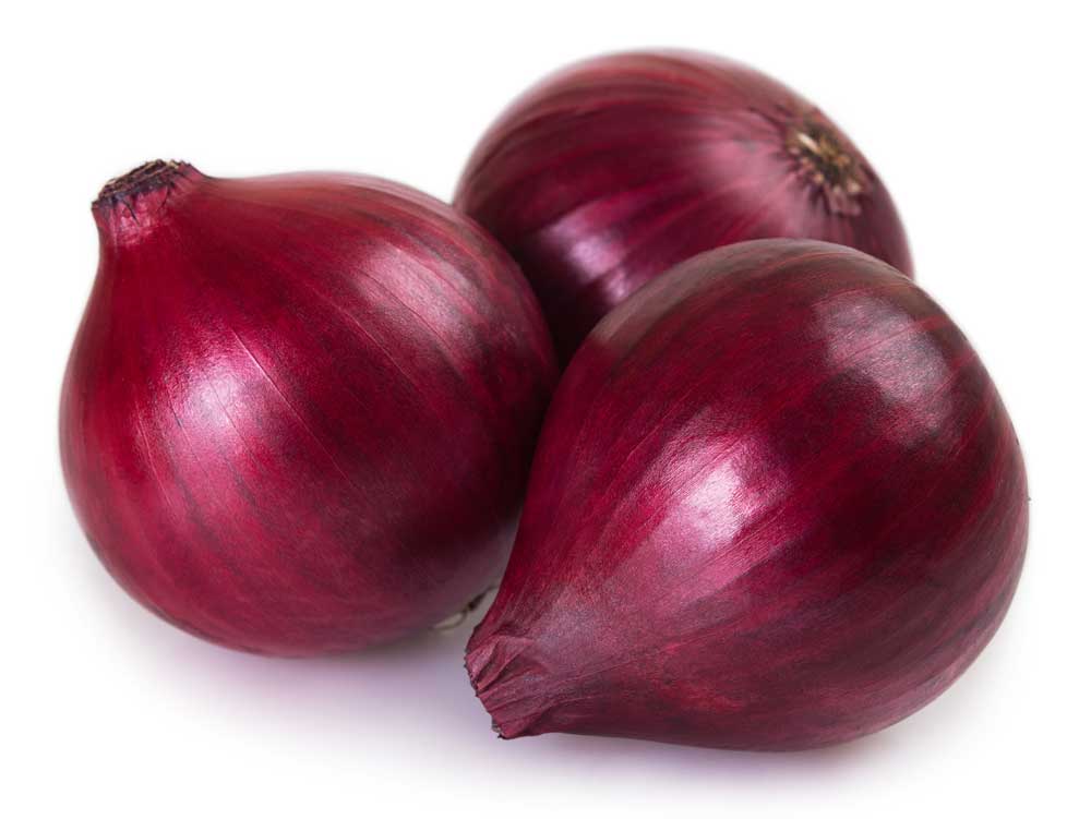 Rote Zwiebeln 5 kg