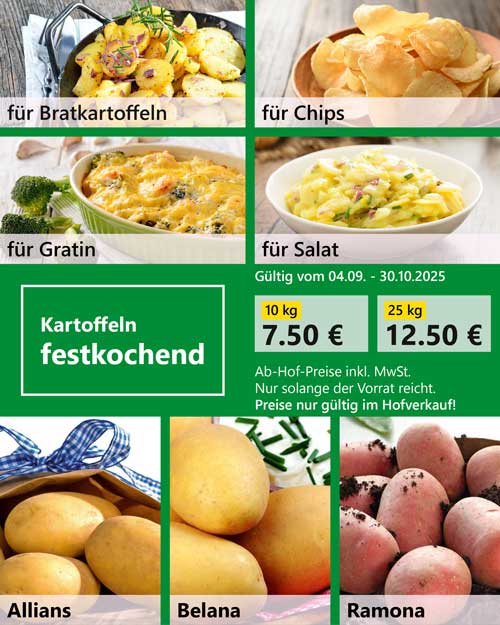 Grafik die zeigt, für welche Gerichte festkochende Karftoffeln geeignet sind. Oben sieht man 4 Bilder mit den Gerichten: Bratkartoffeln, Chips, Gratin und Salat. Unten sieht man die festkochenden Kartoffelsorten, die Agrar Dippe im Angebot hat: die gelben Kartoffeln Allians und Belana. Ramona ist eine Kartoffelsorte mit roter Schale. In der Mitte erscheint das Preisangebot, das bis 30.10.2025 gültig ist und nur für den Hofverkauf, nicht die Verkausstände gilt. 10 kg kosten 7,50 € inkl. MwSt. 25 kg kosten 12.50 € inkl MwSt. Angebot gilt nur solange der Vorrat reicht. Link zu Beitrag auf Social Media mit den Empfehlungen für passende Gerichte für alle Kartoffelkochtypen.