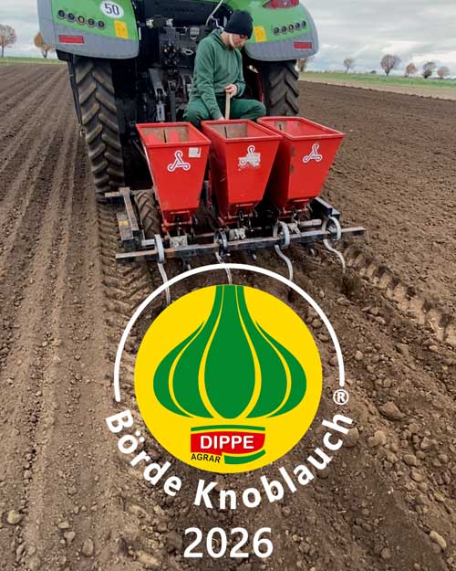 Traktor mit einer Knoblauch-Steckmaschine fährt auf dem Feld und pflanzt Knoblauch. Ein Mitarbeiter sitzt an der Maschine und überwacht sie. Logo von Börde Knoblauch mit dem Zusatz 2026. 2026 gibt es wieder Knoblauch von Agrar Dippe.